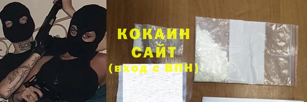 дмт Арсеньев
