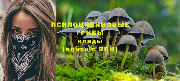 круглые Армянск