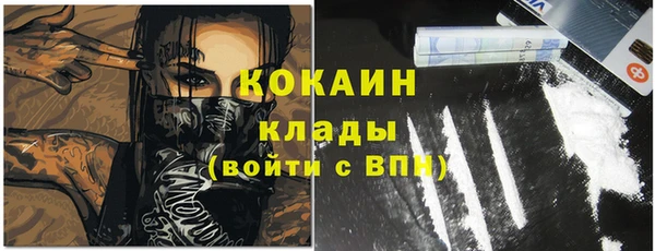 дмт Арсеньев