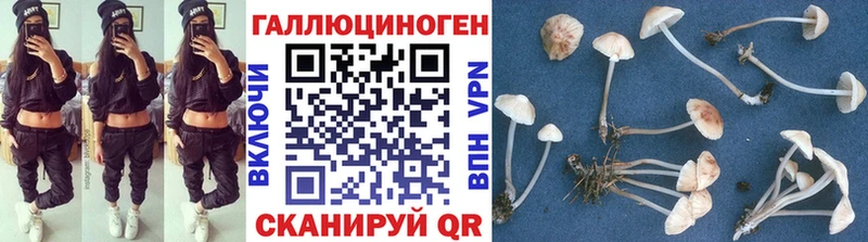 Псилоцибиновые грибы мухоморы  hydra tor  Знаменск 